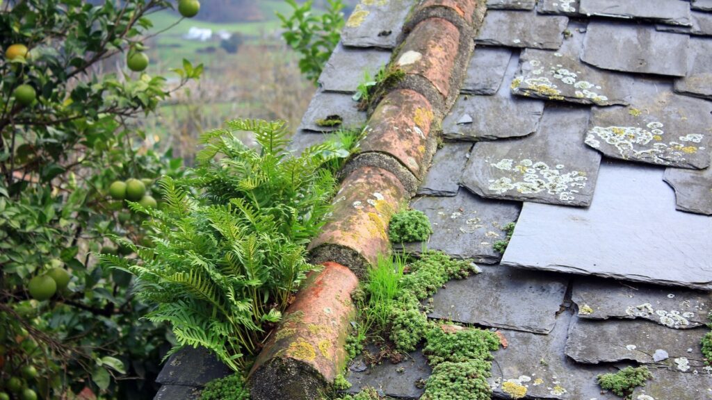 moisture inside roof system causing hidden structural damage