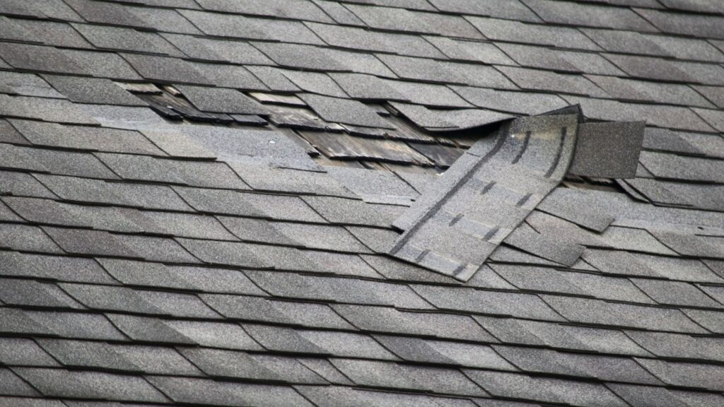 roof inspection for hidden roof damage on Florida home