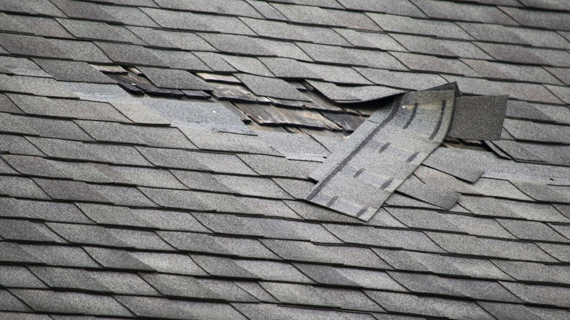 roof inspection for hidden roof damage on Florida home