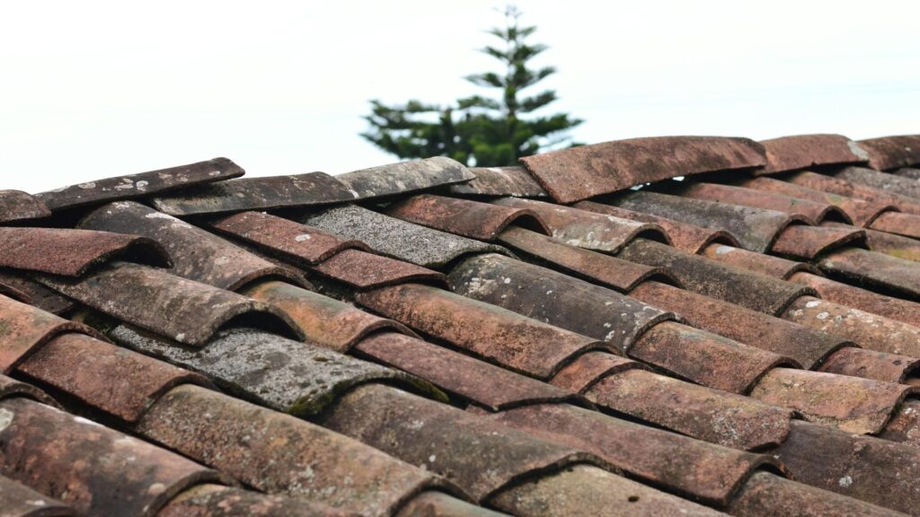 roof repair near me warning signs on damaged roof