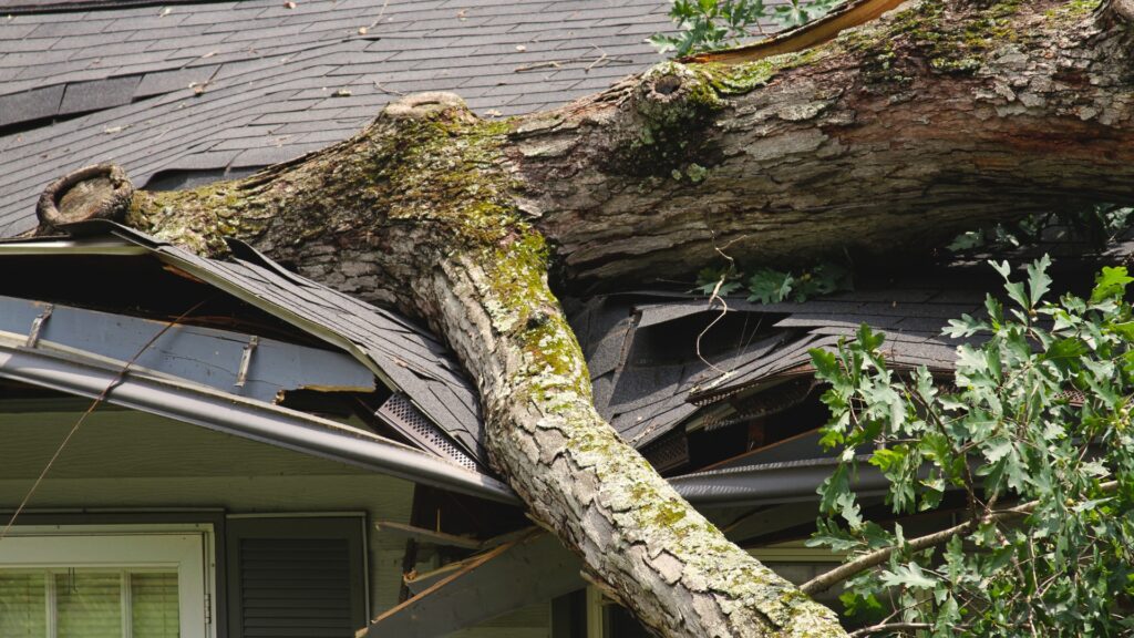 Hurricane wind damage on a residential roof in Florida