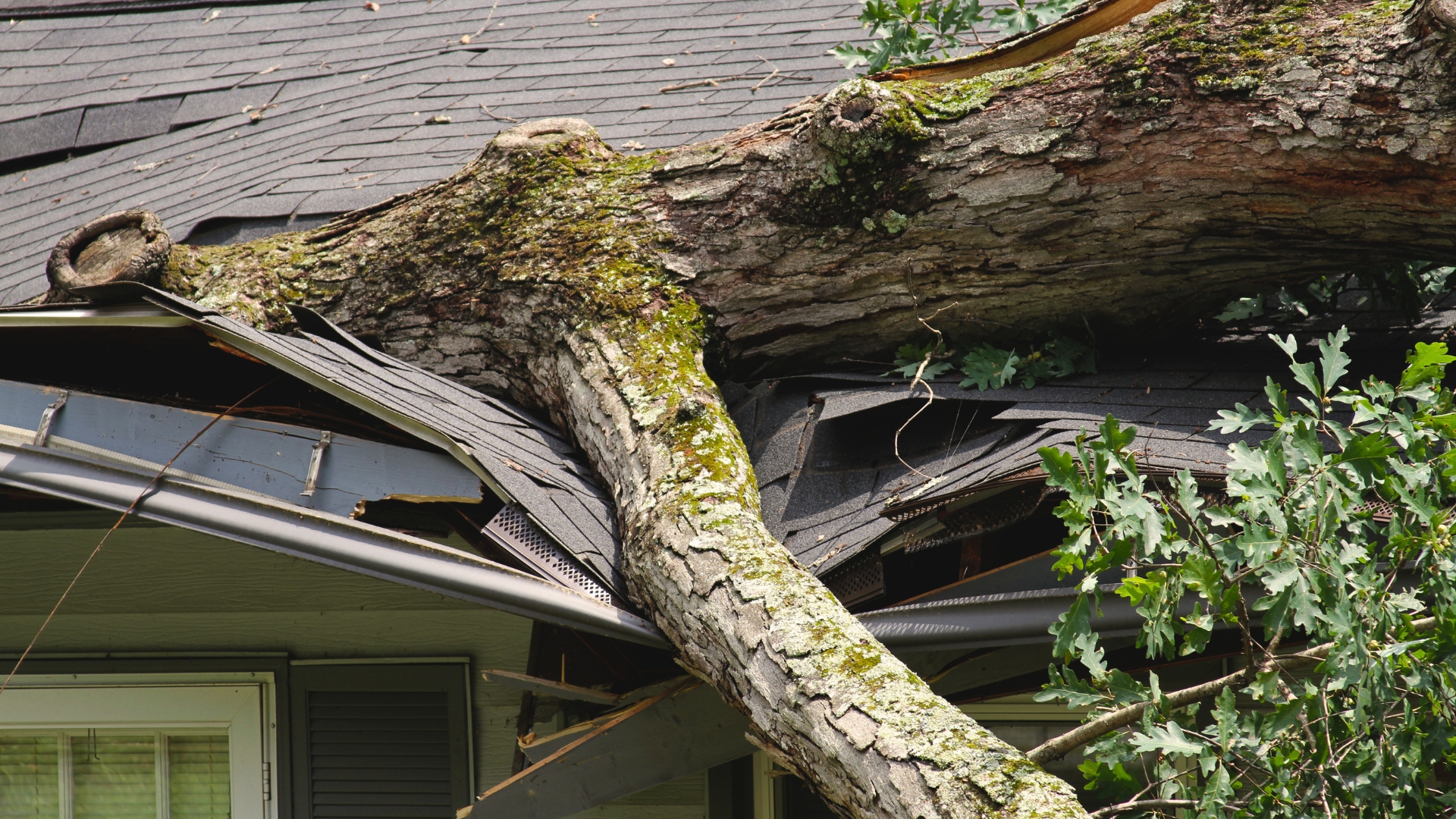 Hurricane wind damage on a residential roof in Florida