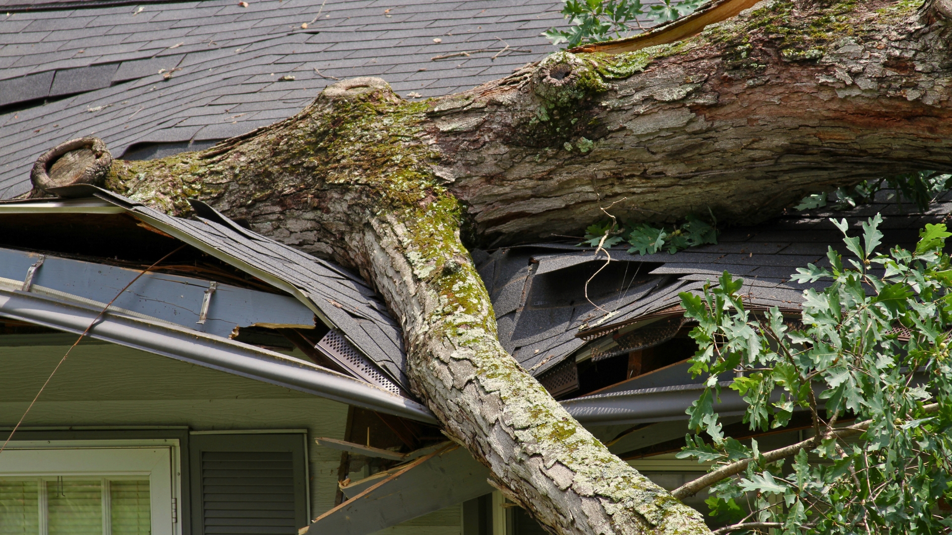 Roofing crew completing storm damage roof repair on a Florida home